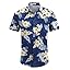COOFANDY Men's Linen Shirts Short Sleeve Casual Shirts Button Down Shirt for Men Beach Summer Wedding Shirt